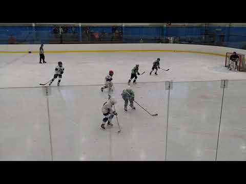 HC ZASTÁVKA - HCM WARRIORS B