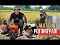Mesin Rumput Yg Bisa Untuk Potong Padi