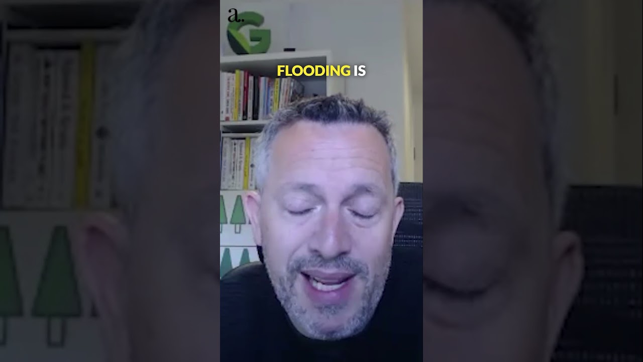 Google's flood forecasting app with AI as explained by Adam Elman