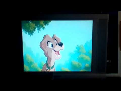 LADY AND THE TRAMP 2 SCAMP'S ADVENTURE DVD A WORLD WITHOUT FENCES SONG