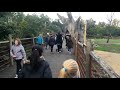 Alle hens aan dek op drukste dag in Blijdorp ooit