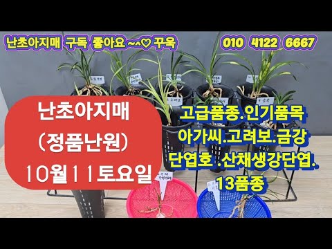 유튜브 썸네일