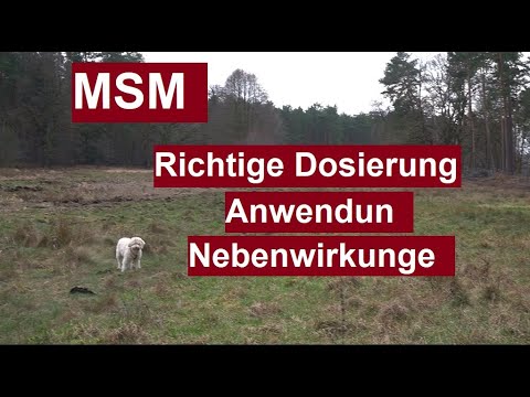 Dosierung, Wirkung, Einnahme und Anwendung von MSM Nebenwirkungen Schwefel Methylsulfonylmethan