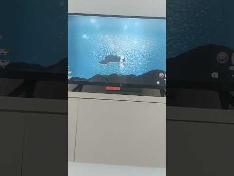 (leggende pokèmon arceus) provo a sconfiggere HEATRAN: ma non c'è l'ha faccio