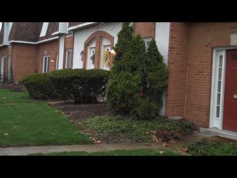 Updated Condo in The Landings of Upper Arlington!