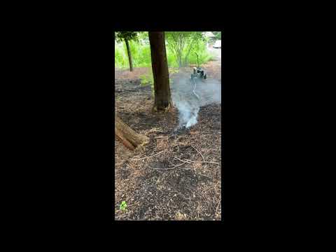 Smoking Out the Moles in Rumson, NJ