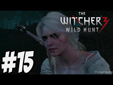 The Witcher 3 Wild Hunt - Gameplay Walkthrough Part 15 [ HD ]