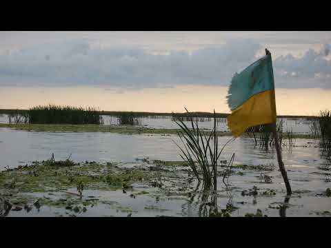 Dominyka Budinavičiūtė - Žinau (pagal Lesios Ukrainkos eiles)