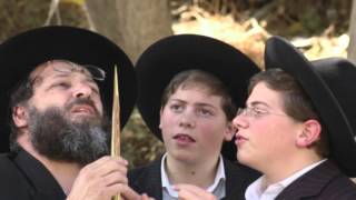 Rockin in the Holy Land