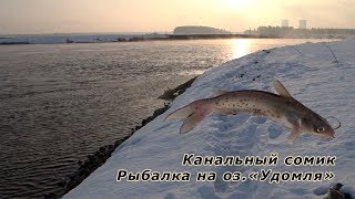 Лучшие места для ловли щуки в тверской области