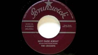 The Crickets. Not Fade Away.