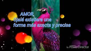 OJALA AMOR Pensarás en mí como yo pienso en ti