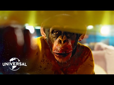 Gordy the Monkey's Rampage