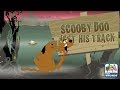 Scooby Doo Lost His Track Lost In The Swamp On A Lonely And Spooky Night WB Kids Games