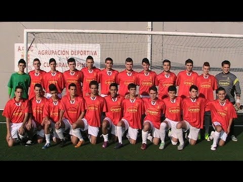 ADYC PINTO JUVENIL B  GUERRERO