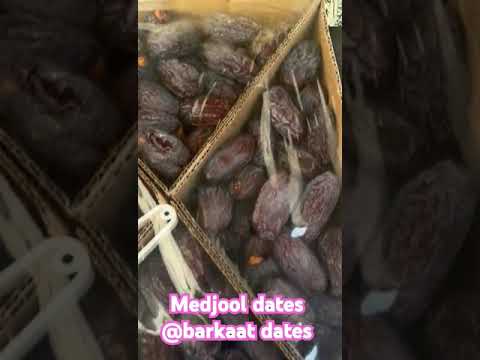Al Fajr Medjool Dates
