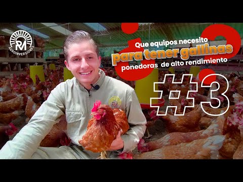 , title : 'Que equipos necesito para tener | gallinas ponedoras rentables'