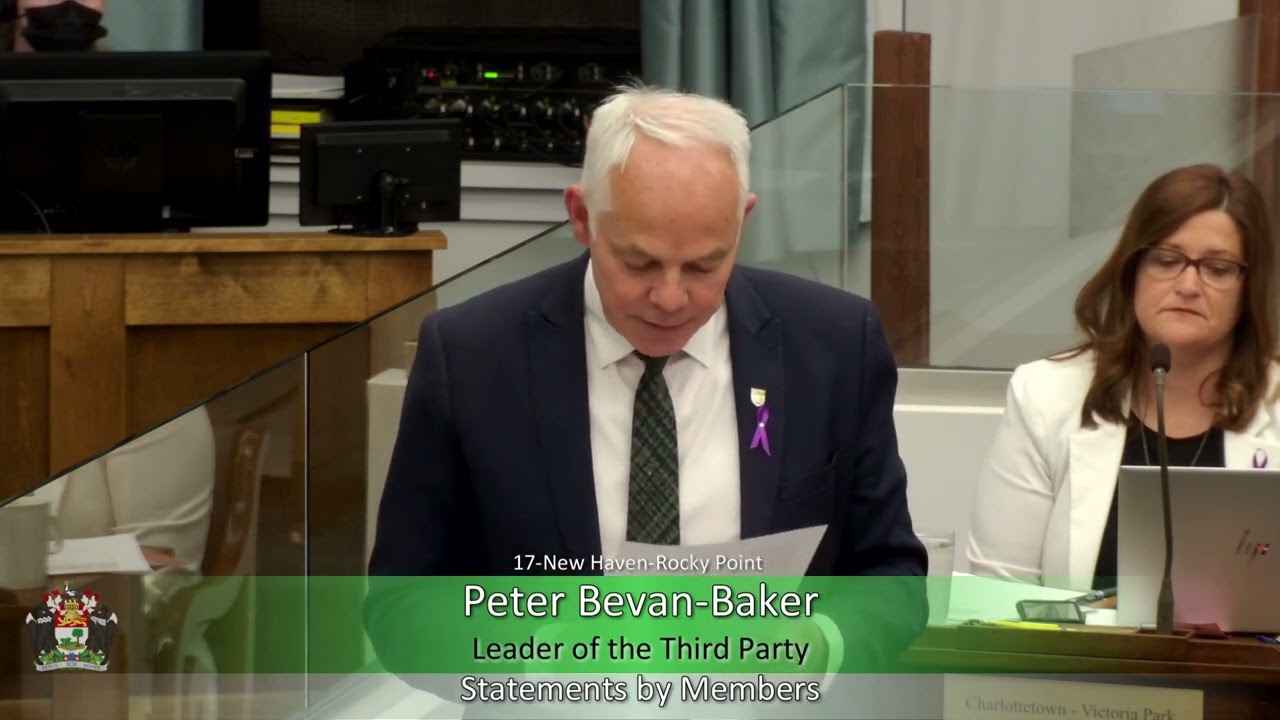 Reflections on being an MLA