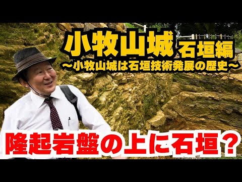 オジロタカについて詳しく解説