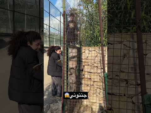 جننوني 😱 #viralvideo #اكسبلور #shorts