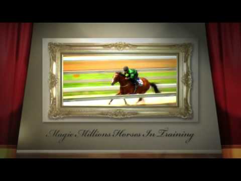Magic Millions National Horses in Training Sale 2010