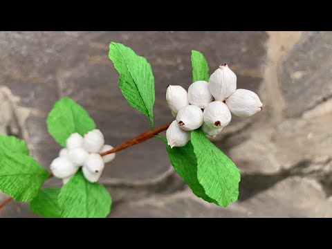 ABC TV | How To Make Snowberry Branch With Crepe Paper - Craft Tutorial