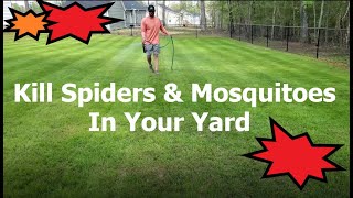 How to Kill Spiders in your yard | DIY How to kill Mosquitoes for Cheap