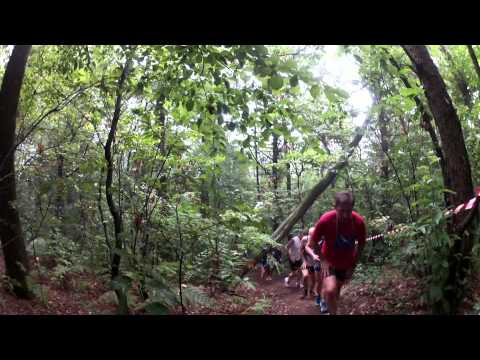 PDO14 VINAGO SALITA DELLE ZANZAREee