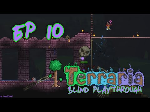 EP10 - Skeletron (Terraria)