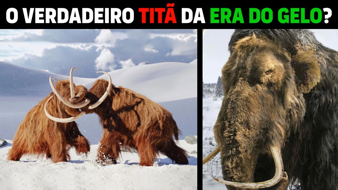 Mamute -  PORQUE OS MAMUTES FORAM EXTINTOS?