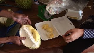 preview picture of video 'Durian Fruit - Removing Edible Flesh - Suong, Cambodia'