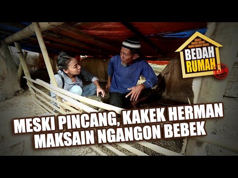 BEDAH RUMAH EPISODE 362 - Meski Pincang, Kakek Herman Maksain Ngangon Bebek