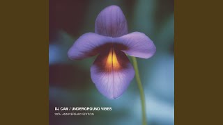 Underground Vibes (Remastered 2025)