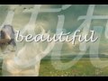 Beautiful by Mercy Me 