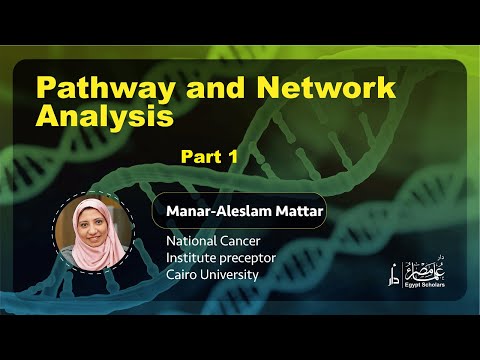 Bioinformatics Course_ Lecture 7_Part 1 | Pathway and Network Analysis