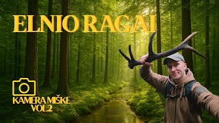 Download lagu ELNIŲ RAGAI | KAMERA MIŠKE | LIETINGA RUDENS DIENA mp3 Download lagu ELNIŲ RAGAI | KAMERA MIŠKE | LIETINGA RUDENS DIENA mp3