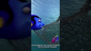 Así quedó atrapada la pez luna #aquarium #planetaquarium #ias #viralvideo #viralshorts #fish