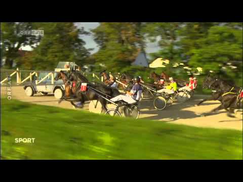 Badener Meile 2014 - Rennbericht - Parkin mit Rudolf Haller