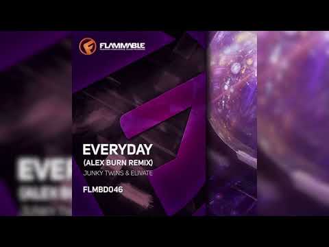Junky Twins & Elivate - Everyday (Alex Burn Remix)  [Flammable Recordings]