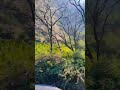 Ye Mulakat Ek Bahana Hai Song Status Shorts Viral Latamangeshkar Oldsong