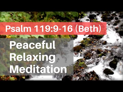 Psalm 119 Relaxing Peaceful Meditation (Verses 9-16 Beth WEB)