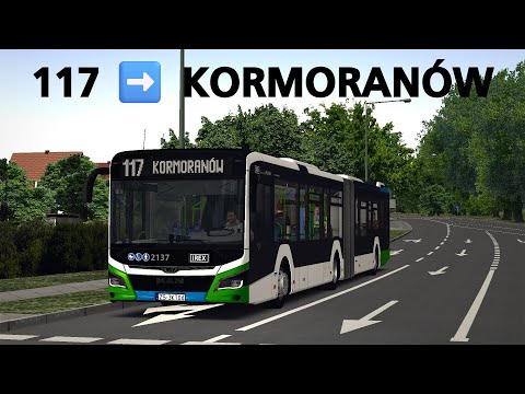 vZTM Szczecin 117 ➡️ Kormoranów | MAN NG330 Lion`s City 18 EfficientHybrid