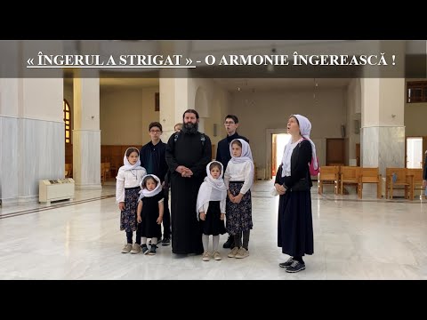 « ÎNGERUL A STRIGAT » - O ARMONIE ÎNGEREASCĂ !