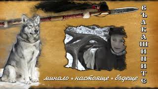 Вълкашините