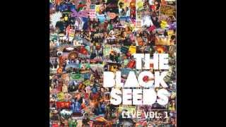The Black Seeds - Love For Property (Live At Homegrown, Wellington) 2009