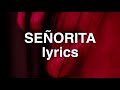 Shawn Mendes, Camila Cabello - Señorita (Lyrics)