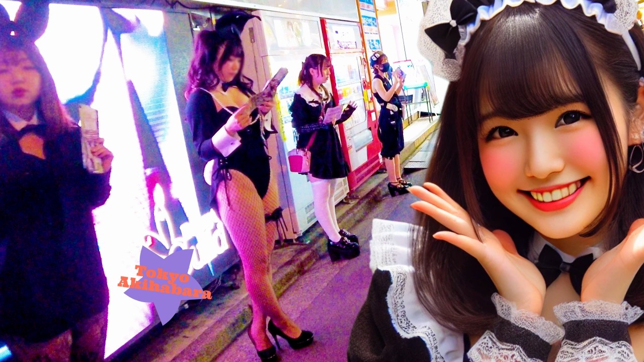 Tokyo Akihabara 🐶 Maid Cafe Night ♪💖 4K Nonstop 1 Hour