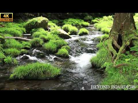 Tranquil Japan 4K thumbnail