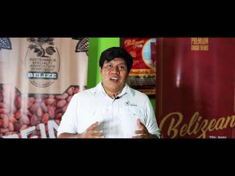 Centralized Cacao Fermentation, Drying & Chocolate Factory - Episode 3 of "Choco Con Choco"