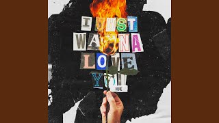 I Just Wanna Love You